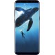 Samsung Galaxy S8 (Midnight Black, 64 GB)  (4 GB RAM)